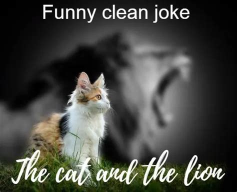 adult humor for adults|Top 50 Clean Jokes for Adults: LOL Without The Guilt!.